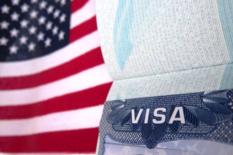 U-Visa Immigration Services