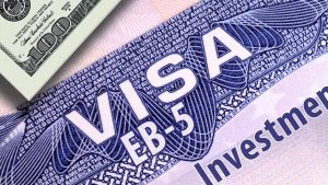 Investment Visas – Services